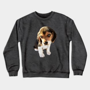 Beagle Dog Cute Puppy Eyes Crewneck Sweatshirt